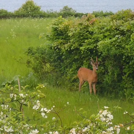 Live By Isefjorden In A With A View Semesterbostad Skibby